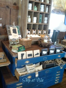 shopatblu shaunna 2