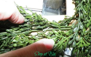 shop at blu boxwood wreath staple gun