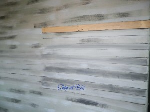 shop at blu plant wall guideline