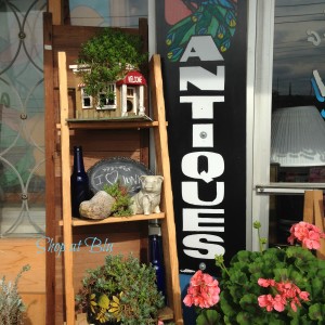 Shop-at-blu-the-blue-building-outdoor-ladder-succulents