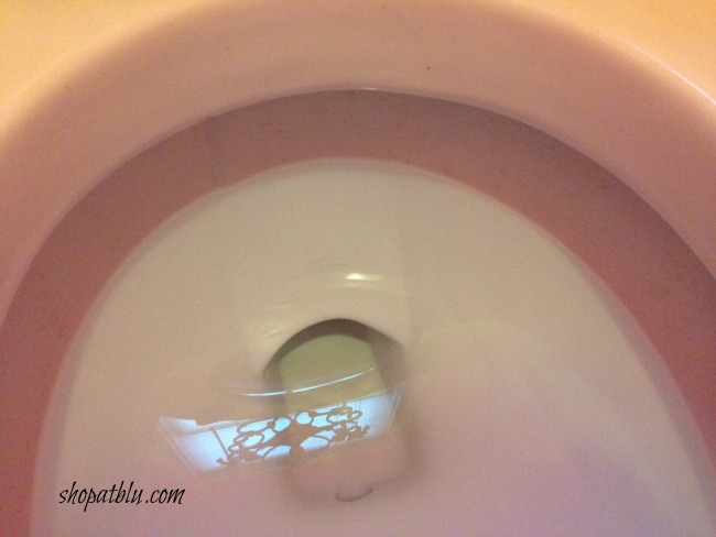 shopatblu-the-blue-building-nasty-toilet-how-to-get-clean-toilets-and-shower-glass-sparking-clean-toilets
