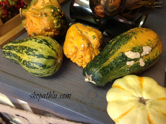 the-blue-building-shopatblu-Thanksgiving-home-decor-mini-gourds