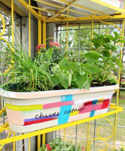 shopatblu the blue building antiques vertical herb garden chives