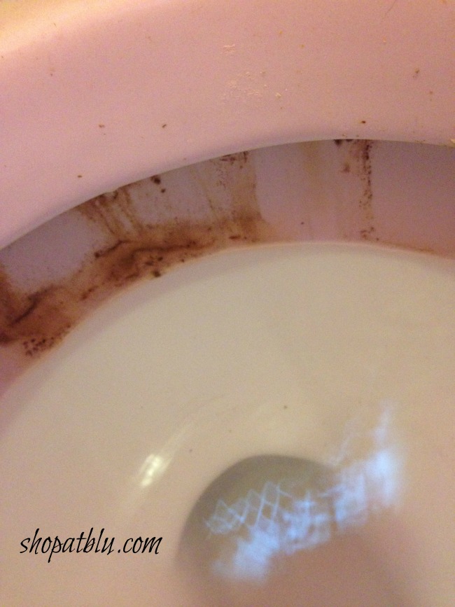 shopatblu-the-blue-building-clean-nasty-toilets-and shower-glass