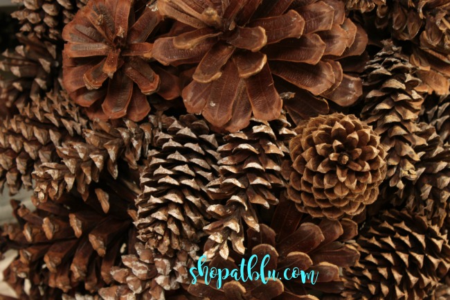 the-blue-building-shopatblu-pinescones-home-decor-four-types-of-pinecones