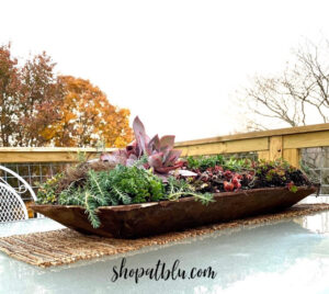 The Blue Building Antiques Shopatblu dough bowls succulents