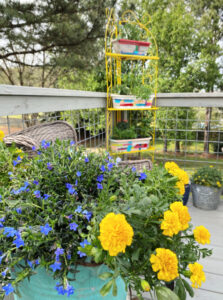 shopatblu the blue building antiques vertical herb garden marigolds