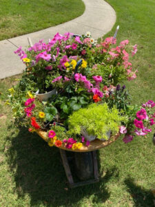 shopatblu decorate porch wheel barrow flowers