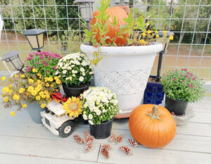 shopatblu fall outdoor decor upcycled pumpkins truck