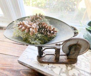 shopatblu pinecone prep antique scale