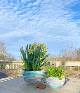 shopatblu the blue building upcycle pots with paint and Easter plants