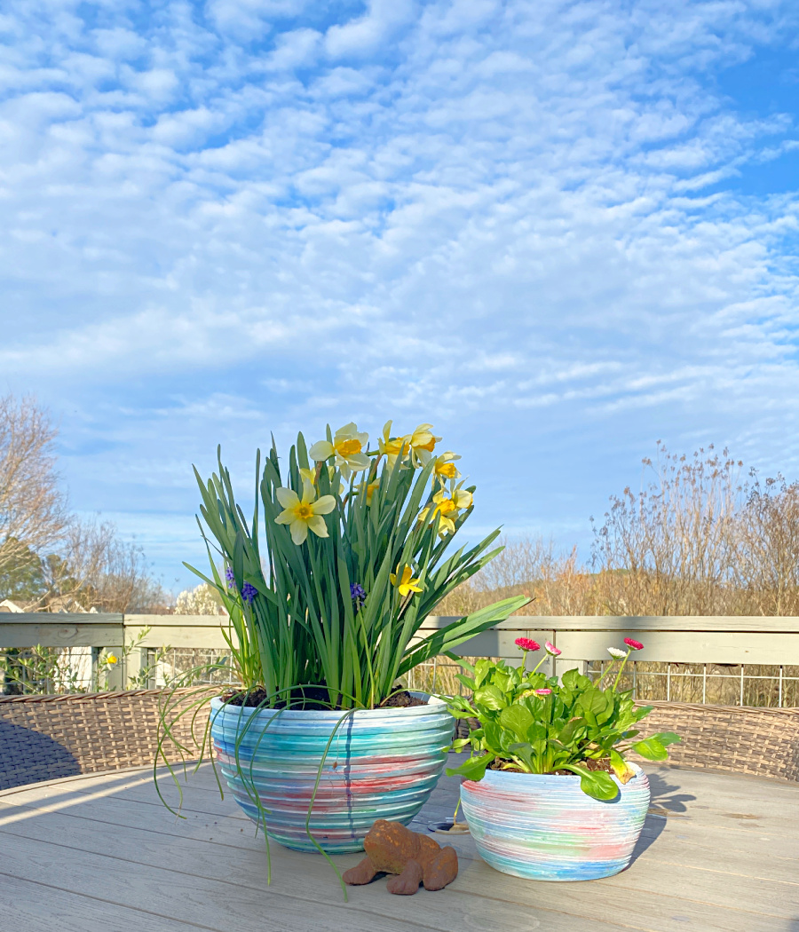shopatblu the blue building upcycle pots with paint and Easter plants